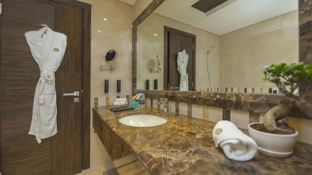 Jannah Burj Al Sarab Hotel - photo 23