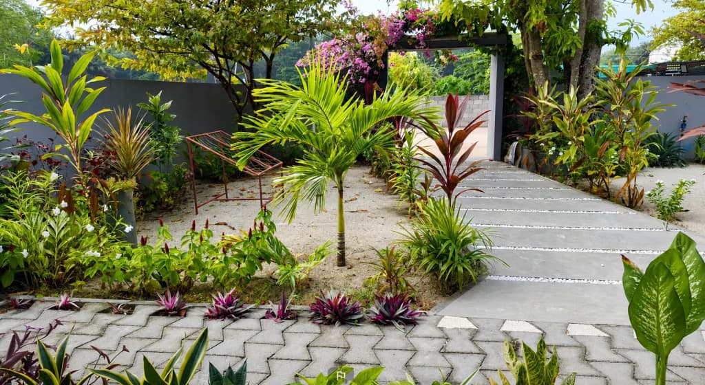 Bon Abri Maldives Guest House - photo 10