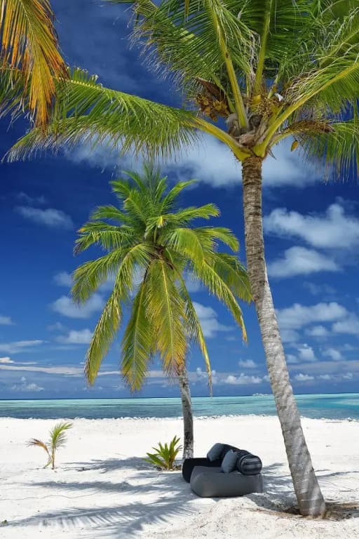 Rahaa Resort - photo 33