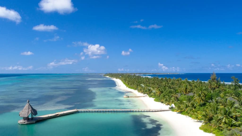 Canareef Resort Maldives - photo 12