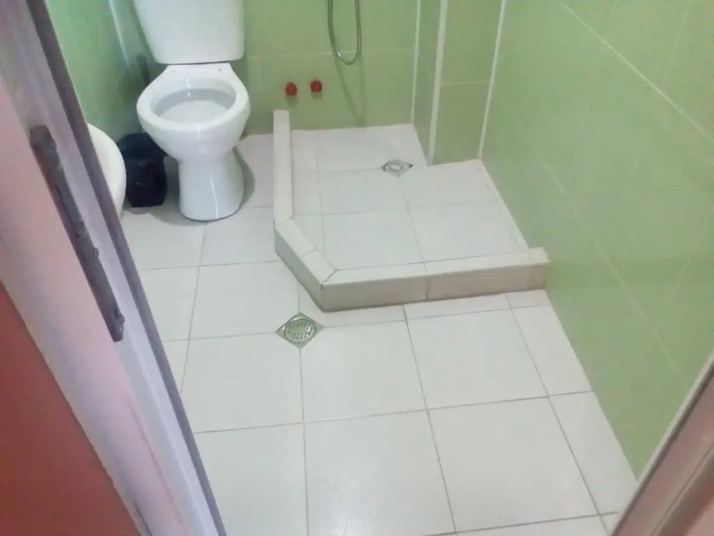 Old Isani Hotel - photo 29