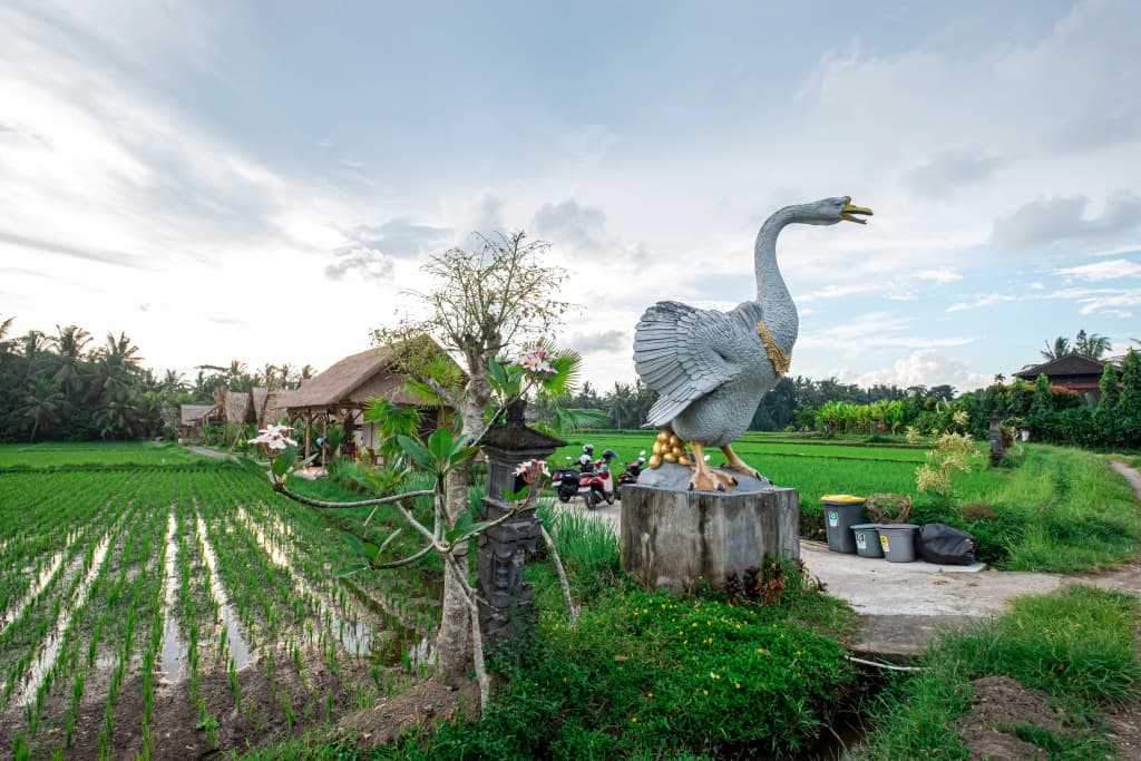 Pondok Mawas Hotel - photo 5