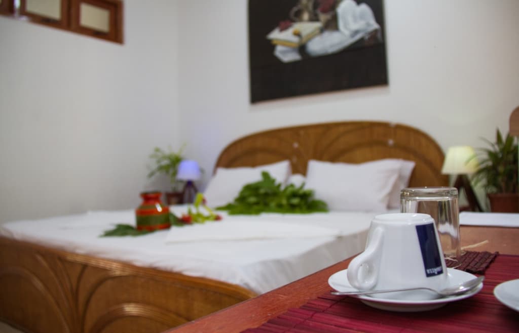 Alvi Star Inn Guest house - photo 25