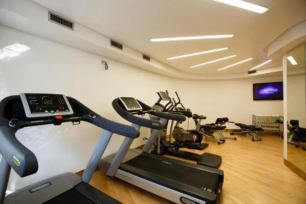 Albani Hotel Roma - photo 26