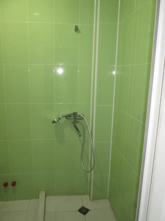 Old Isani Hotel - photo 30