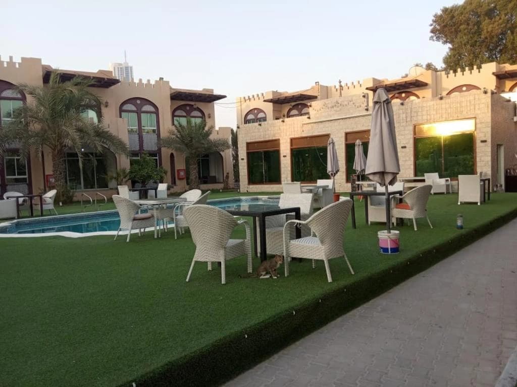 Corniche Palace Hotel - photo 9