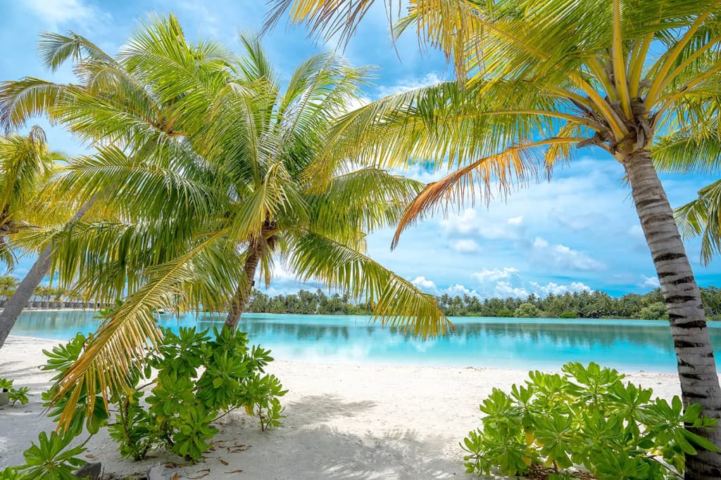 Rahaa Resort - main photo