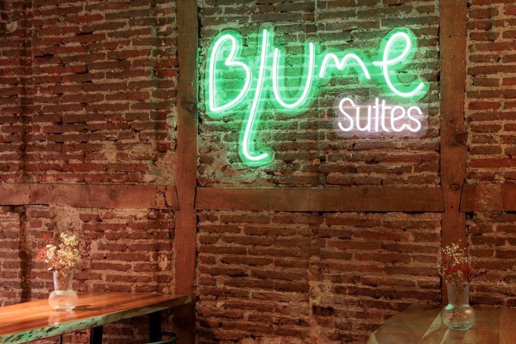 Blume Cruz Suites - photo 15
