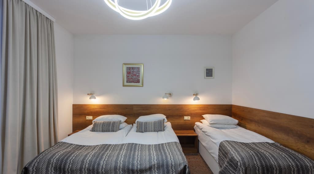 Alliance Hotel - photo 45