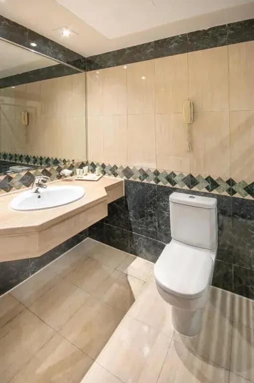 Hotel Triumph Plaza Hotel - photo 29