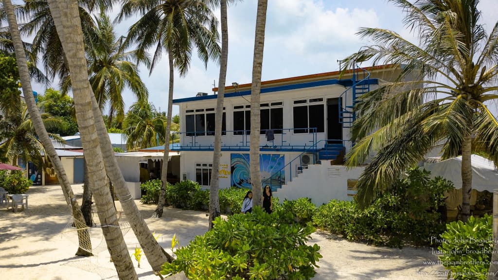 Batuta Maldives Surf View - photo 3
