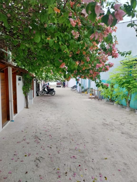 Navaya Dhiffushi Guest house - photo 12