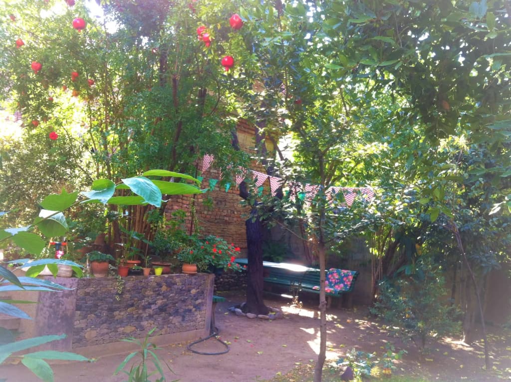 Granat Garden Aprtments - photo 13