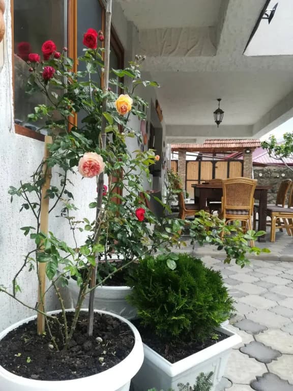 My Garden Guest House - photo 45