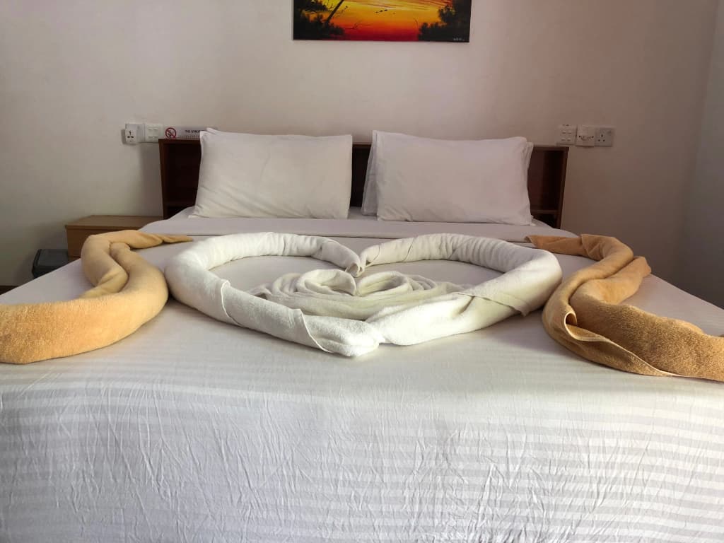 Mathiveri Inn Guest House - photo 7