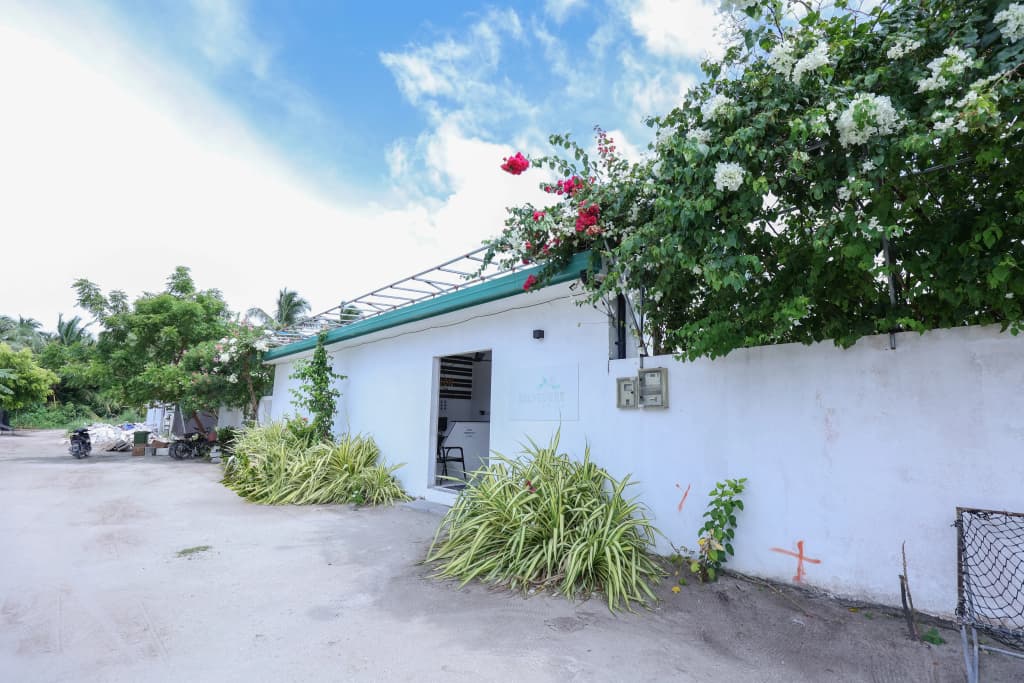 Belvedere Thoddoo Guest House - photo 4