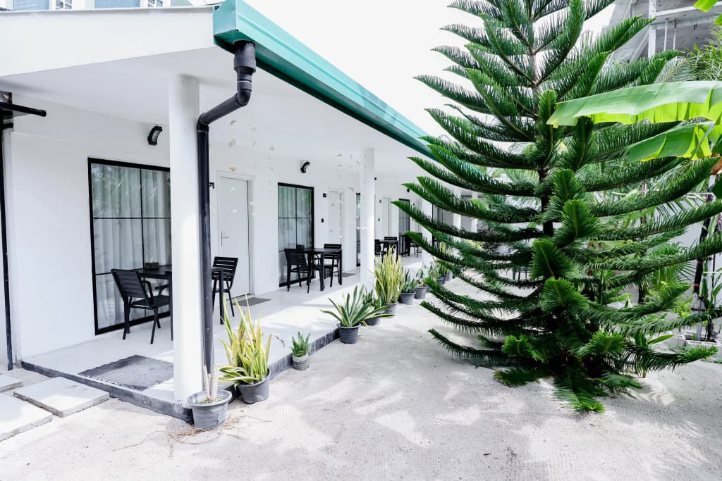 Belvedere Thoddoo Guest House - photo 7