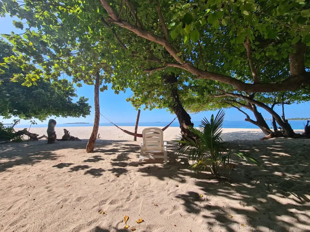 Kamadhoo Inn Guest House - photo 29