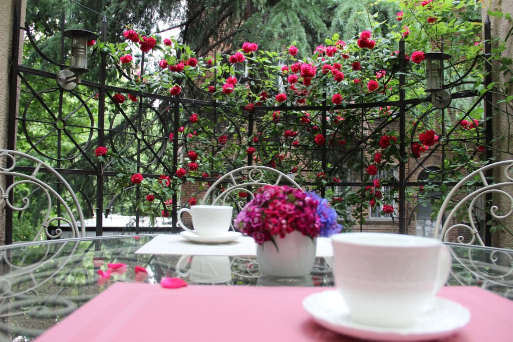 Iliani Hotel - photo 7