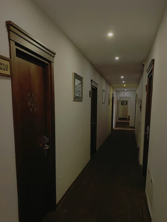 Old Metekhi Hotel - photo 32