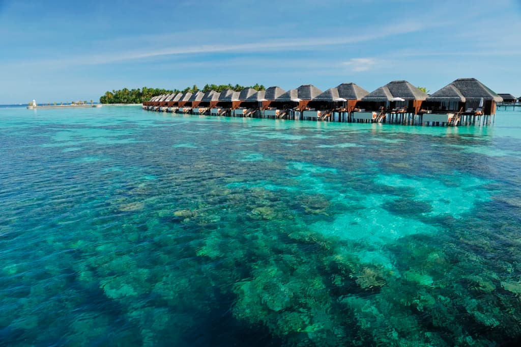Ayada Maldives Hotel - photo 8