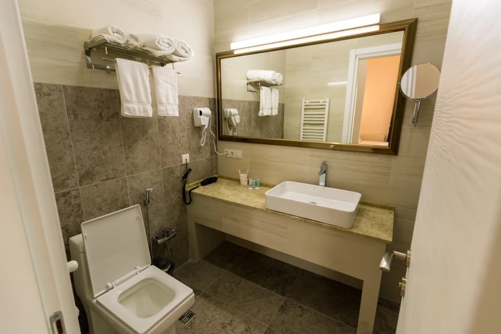 Alliance Hotel - photo 16