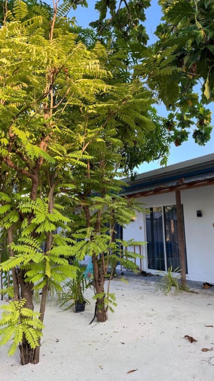 Navaya Dhiffushi Guest house - photo 19