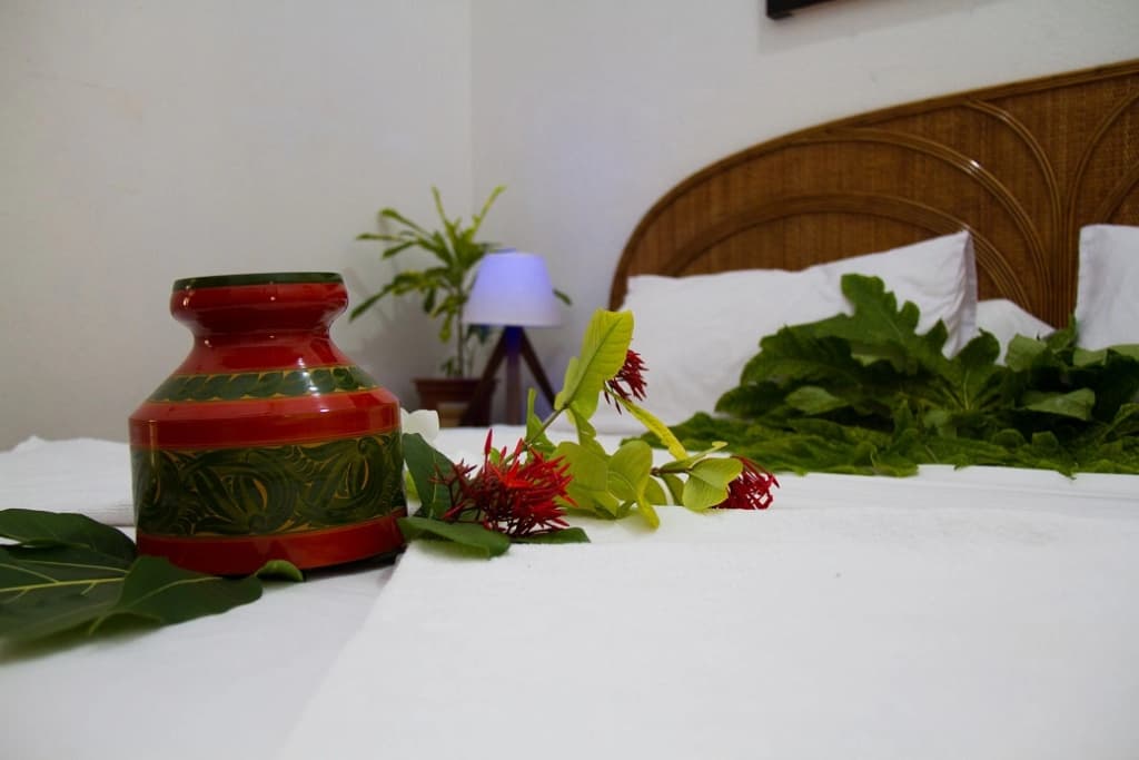 Alvi Star Inn Guest house - photo 30