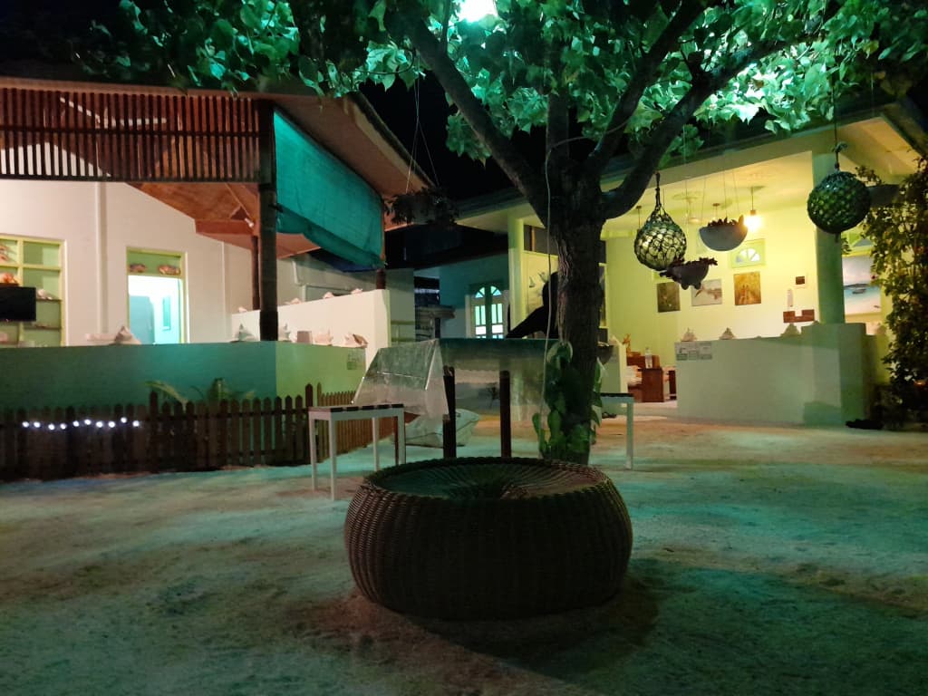 Kuri Inn - photo 14