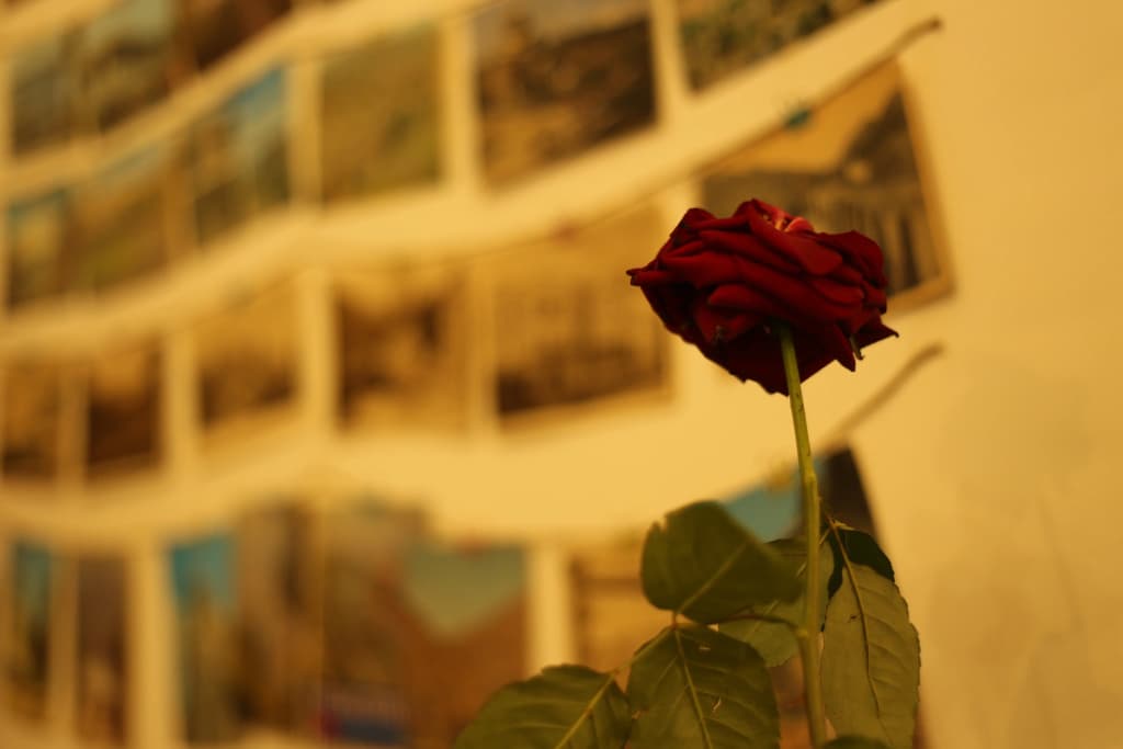 Hostel Moosica - photo 22