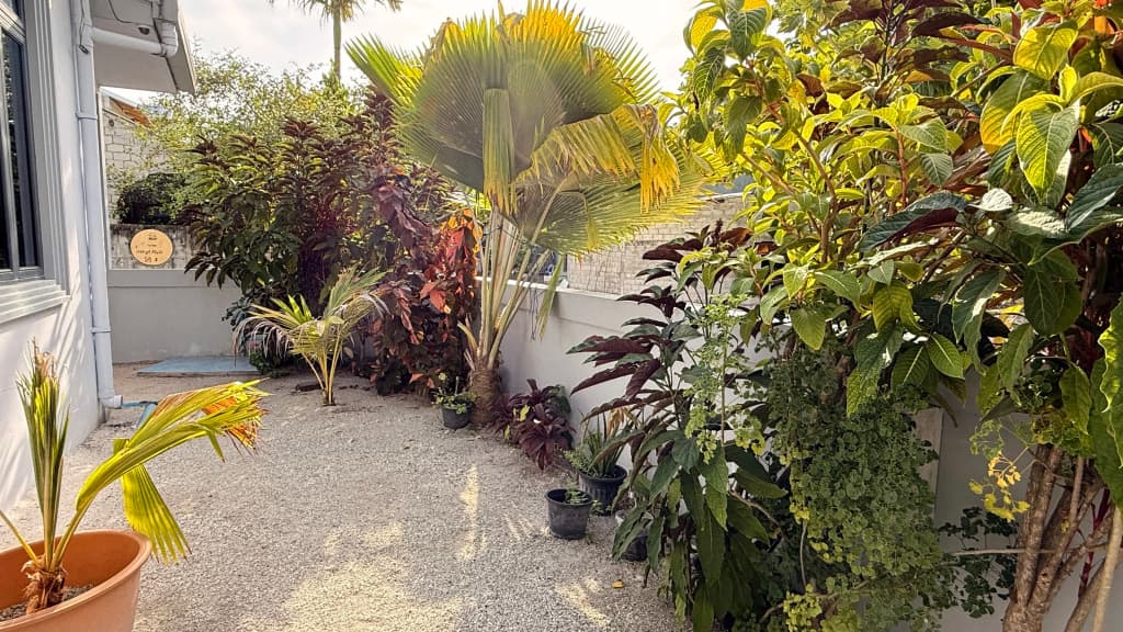 Rihiveli Inn Guest House - photo 7