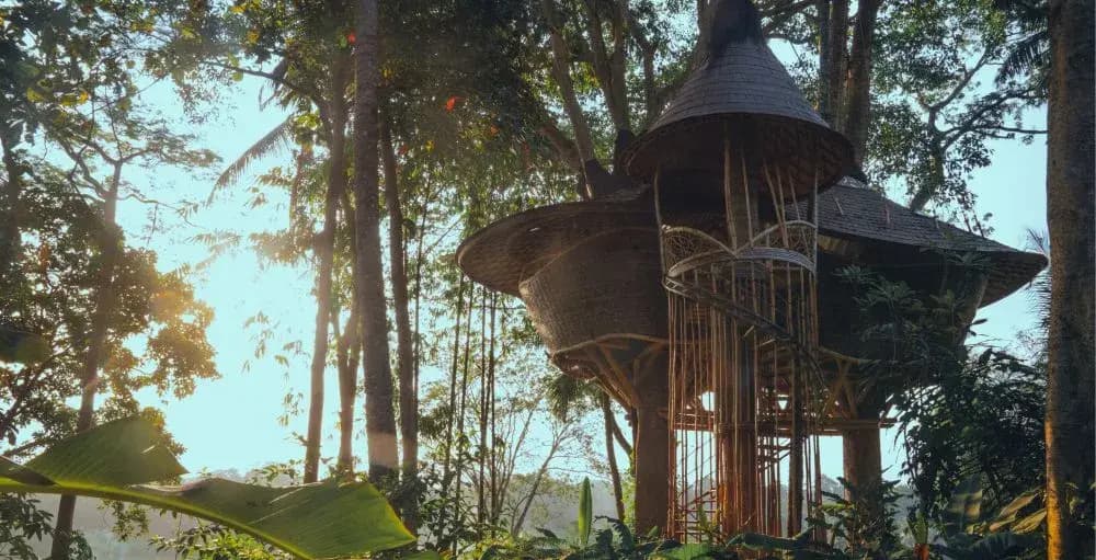 Bambu Indah Resort - photo 1