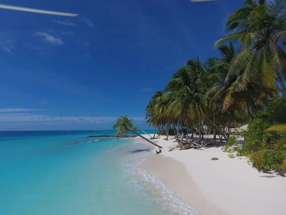 Fiyavalhu Resort Maldives - photo 34