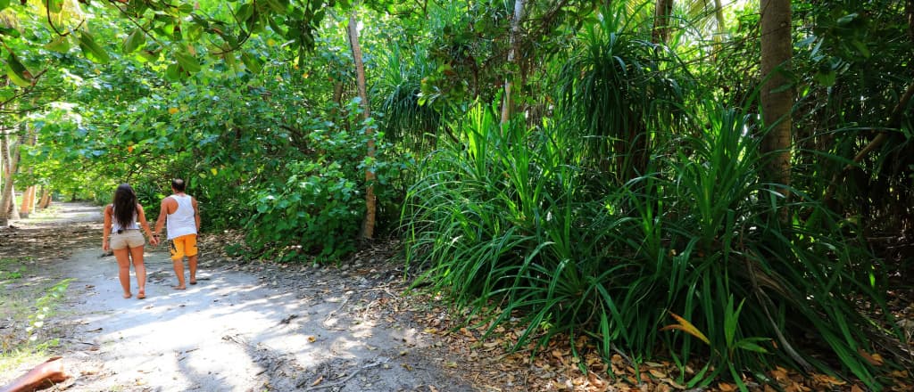 Koimala Guest House - photo 28