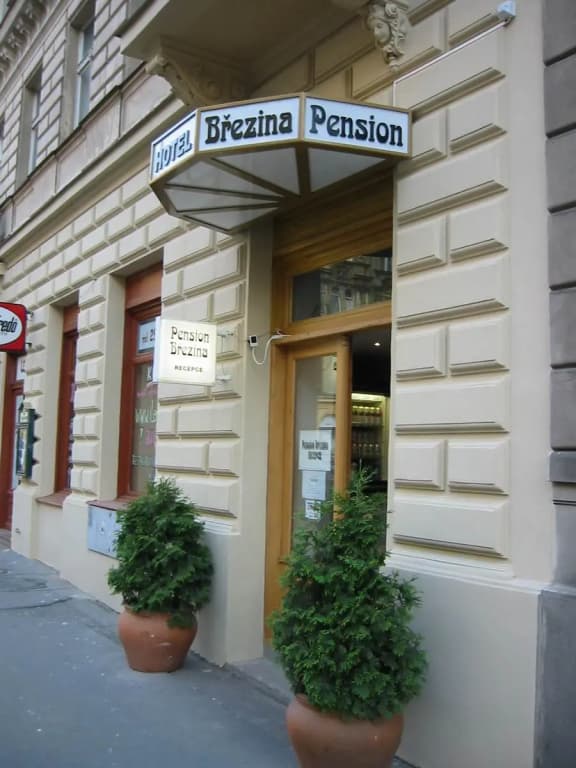 Pension Brezina Hotel Prague - photo 3