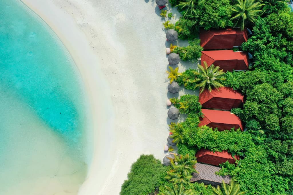 Dhigufaru Island Resort - photo 5