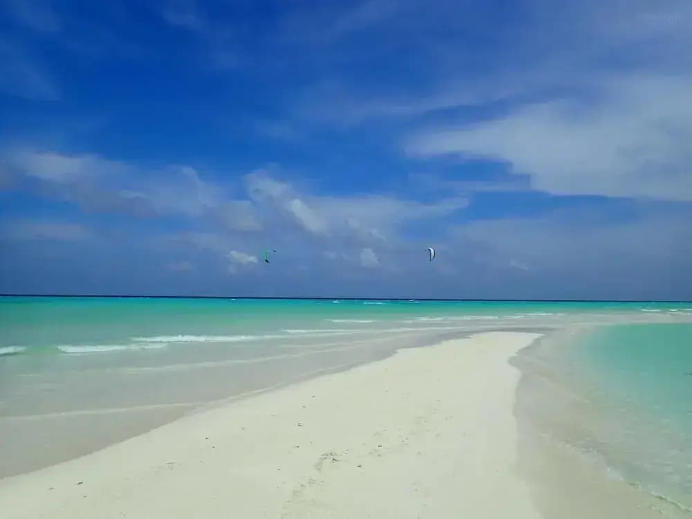 Kite And Dive Village Fenfushi Hotel - photo 8