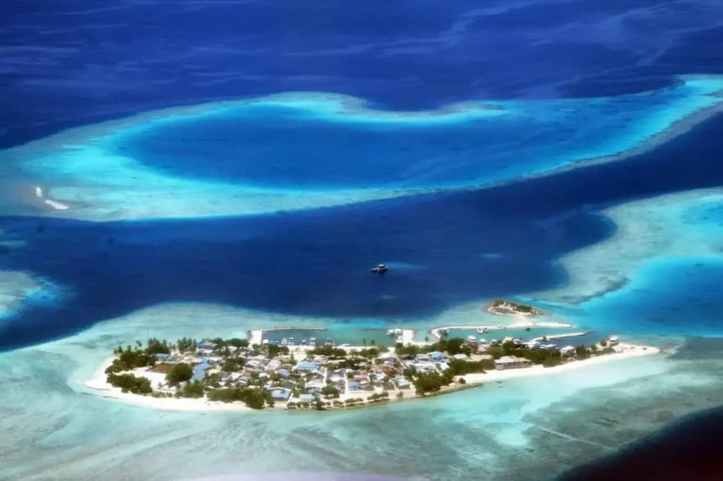 Tropic Tree Hotel Maldives - photo 12