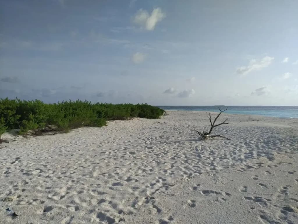 K Villas Maldives - photo 8