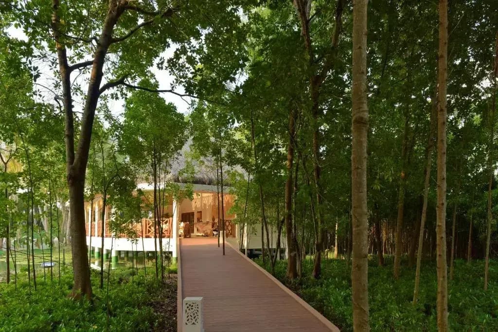 Dreamland Unique Sea and Lake Resort Spa - photo 19