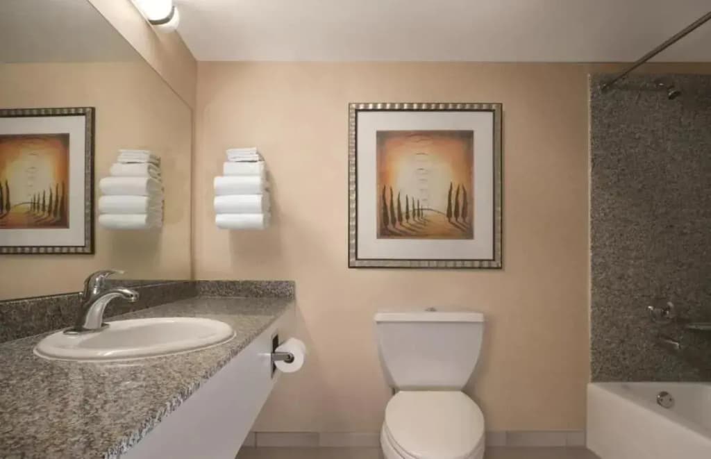 Circus Circus Hotel, Casino & Theme Park - photo 14