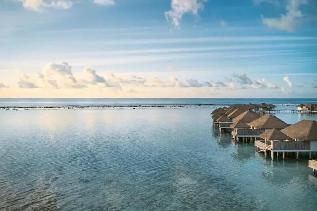 COMO Maalifushi - photo 18