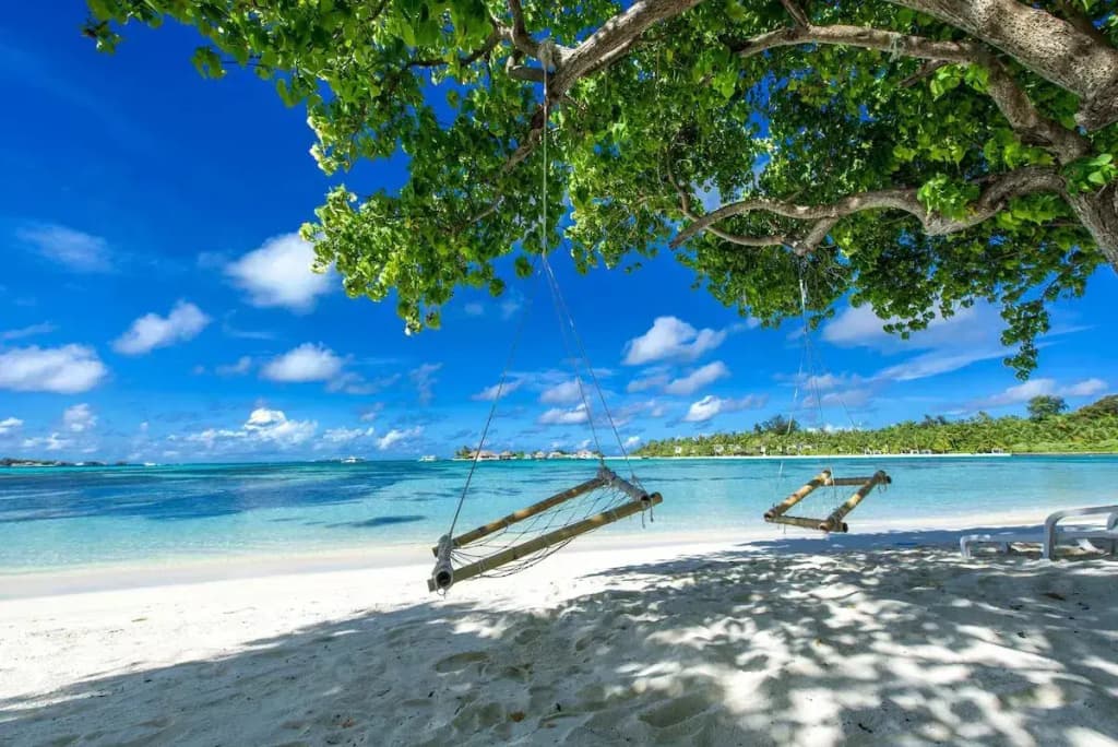 Ithaa Beach Maldives  - photo 16