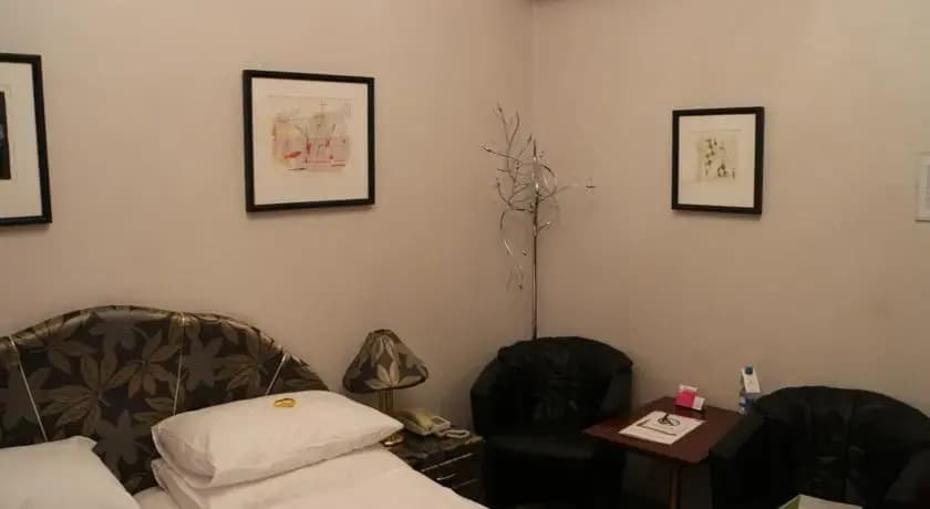 Schweizerhof Hotel - photo 5