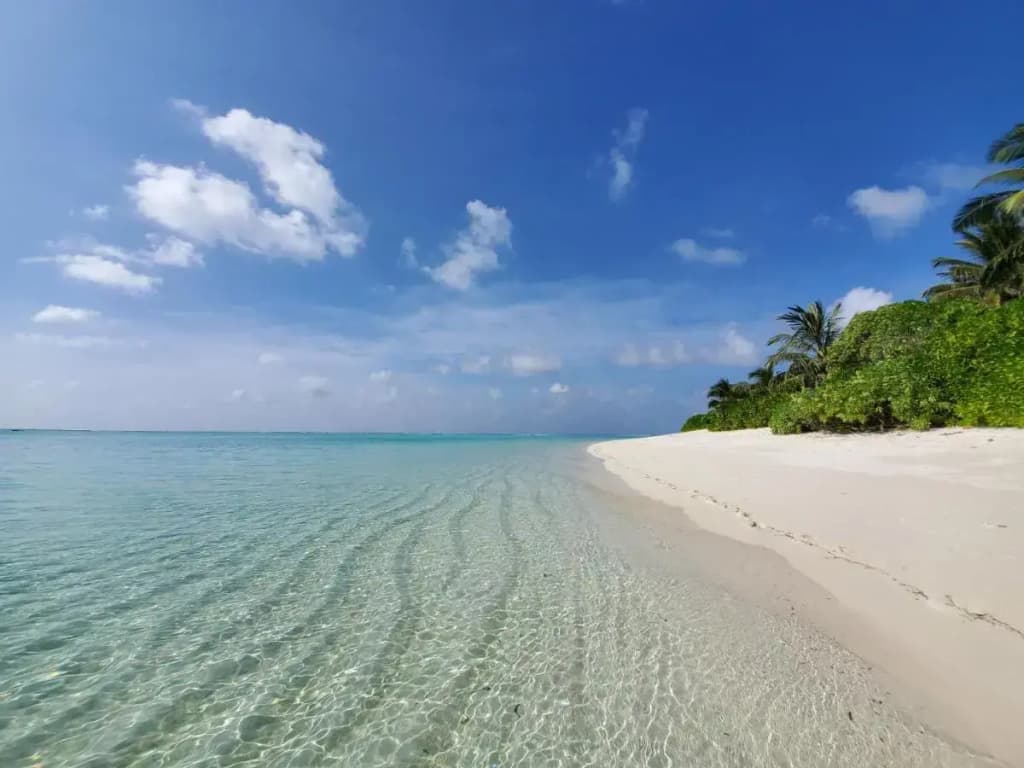 Summer inn Thoddoo - photo 10