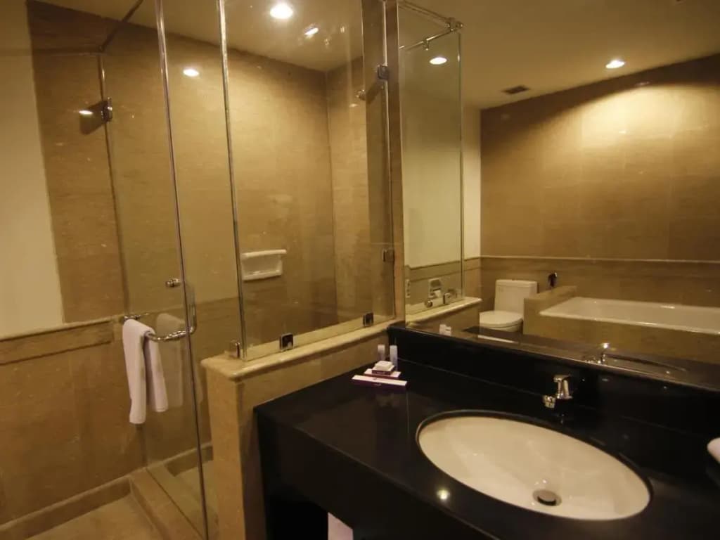 Diradja Hotel - photo 10