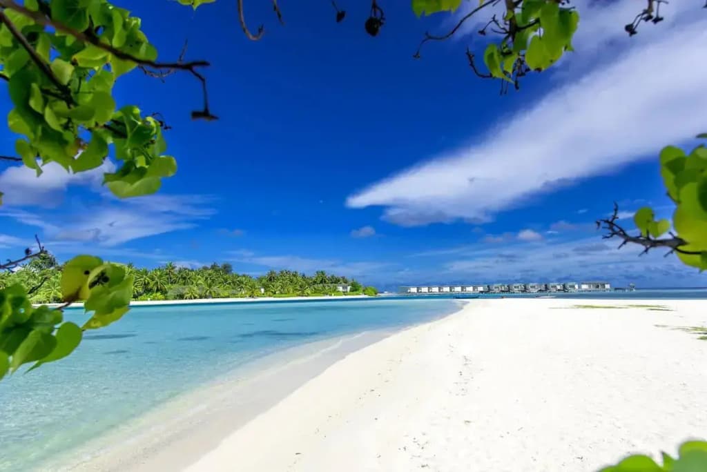 Ithaa Beach Maldives  - photo 15