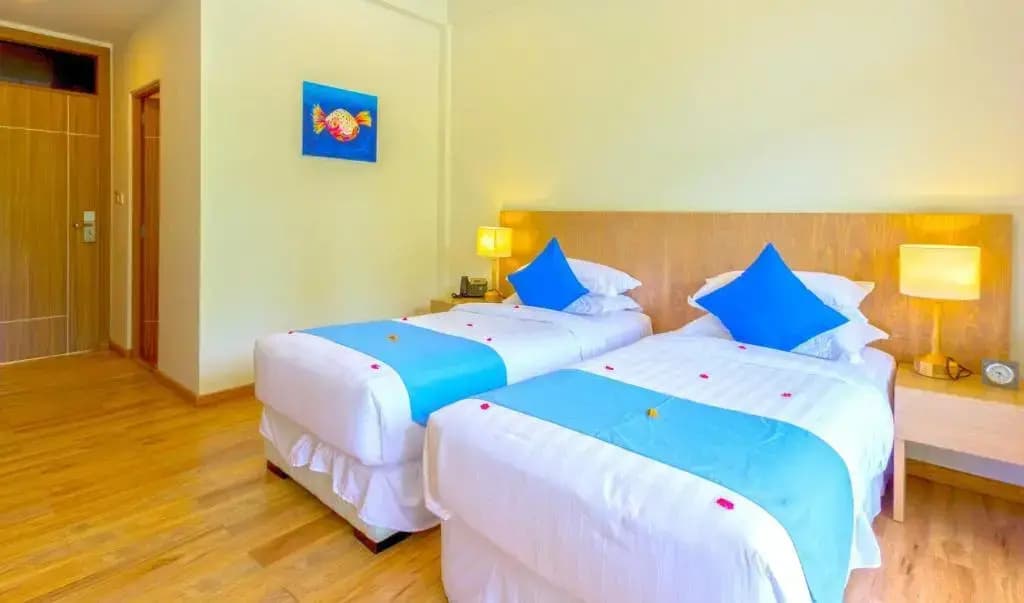 Plumeria Maldives Boutique Hotel - photo 3