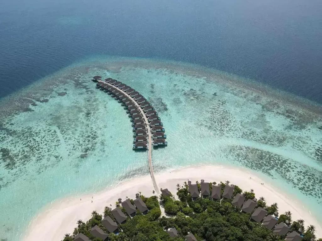 Robinson Noonu - photo 21