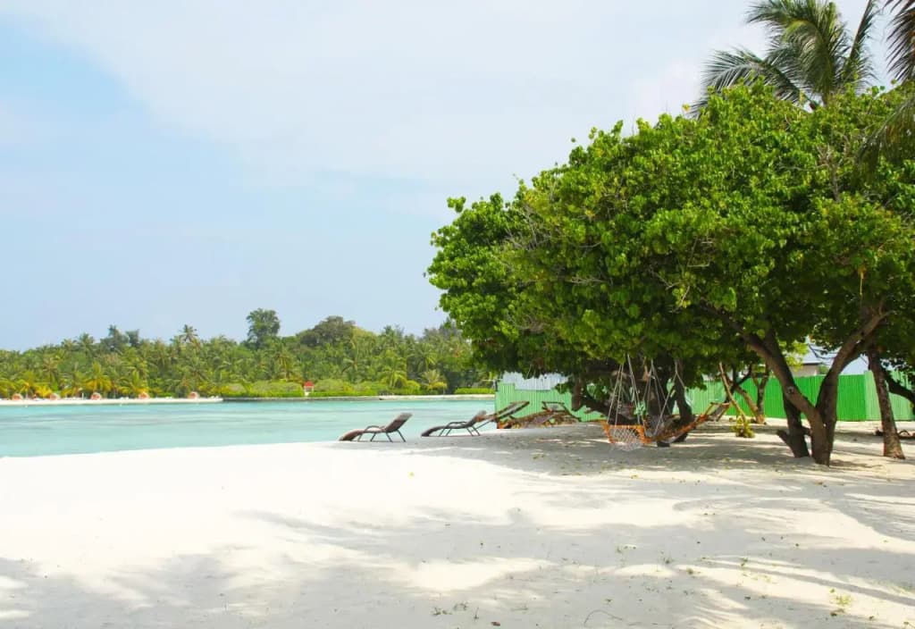 Seginy Seaview Hotel - photo 22